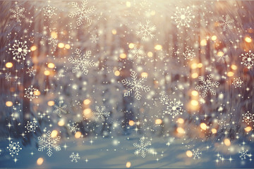 beautiful snowy forest and abstract shiny light background