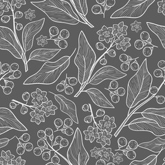 Camphor. Plant. Leaves, fruit. Wallpaper, seamless. Sketch. Gray background, white drawing.