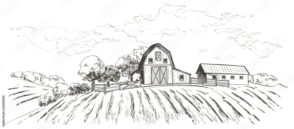 Rural landscape field wheat. Hand drawn vector Countryside landscape engraving style illustration. - obrazy, fototapety, plakaty 