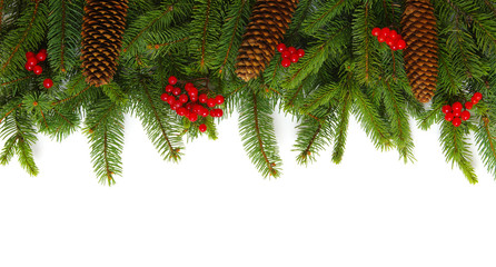 fir tree branch isolated on white