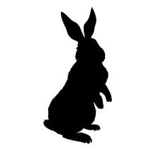 Rabbit Silhouette - Vector Illustration