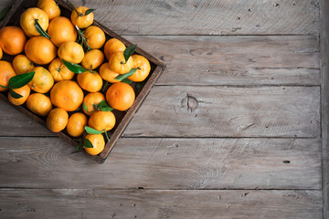 Wall Mural - Tangerines (clementines)