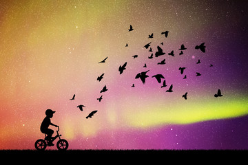 Poster - Boy on bike and pigeons in park at night. Vector illustration with silhouettes of child on bicycle and flocks of birds. Northern lights in starry sky. Colorful aurora borealis