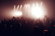 © Danil Nikonov - silhouettes of concert crowd in front of bright stage lights. Unrecognized people in crowd. Copy space background. Crowd of fans at music festive. Party in nightclub. Sold out concert.