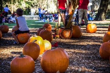 Pumpking festival at sunset