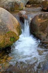 Canvas Print - rock and creek