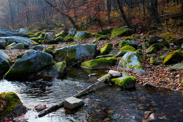 Wall Mural - rock and creek in a geological park