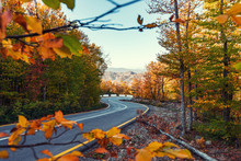 Winding Road In The Colorful Autumn Mountain Forest