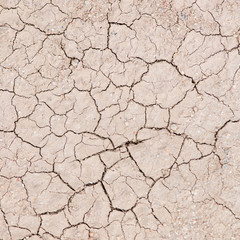 Wall Mural - cracked earth texture