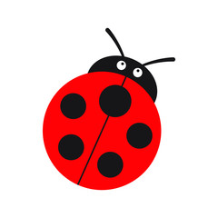 Ladybug or ladybird vector graphic illustration, isolated. Cute simple flat design of black and red lady beetle.