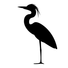 Heron Walking , Vector Illustration,,profile View, 