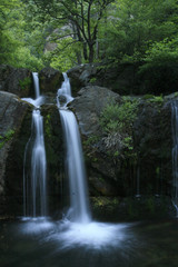 Wall Mural - waterfall in deep forest