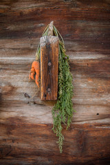 Wall Mural - weirdly shaped little carrot on a wooden background