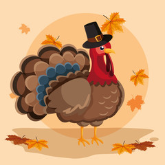 Poster - Turkey icon image