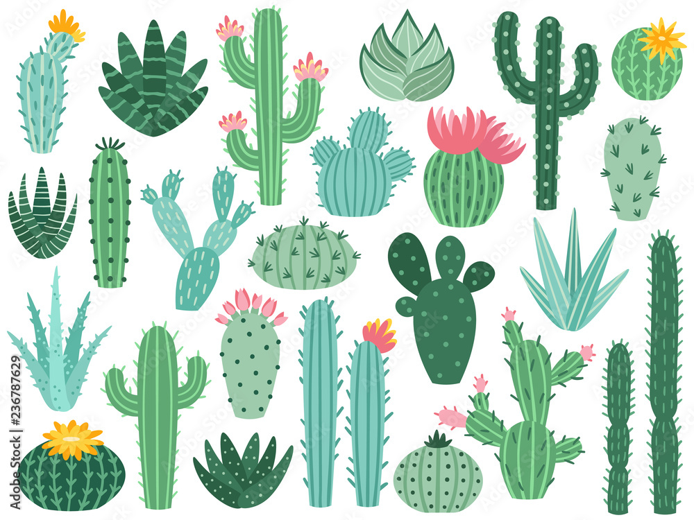 Mexican cactus and aloe. Desert spiny plant, mexico cacti flower and tropical home plants isolated vector collection - obrazy, fototapety, plakaty 
