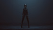 Sexy Biker Demon Woman in a Bodice an Leather Boots in a foggy void 3d Illustration 3d render