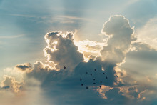 Sunset With Towering Cumulus Clouds And A Flock Of Bird In The Foreground.