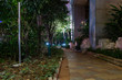 © Sergei Telenkov - Stone path near the house. Night lighting, lights are lit. Green trees, fallen leaves.