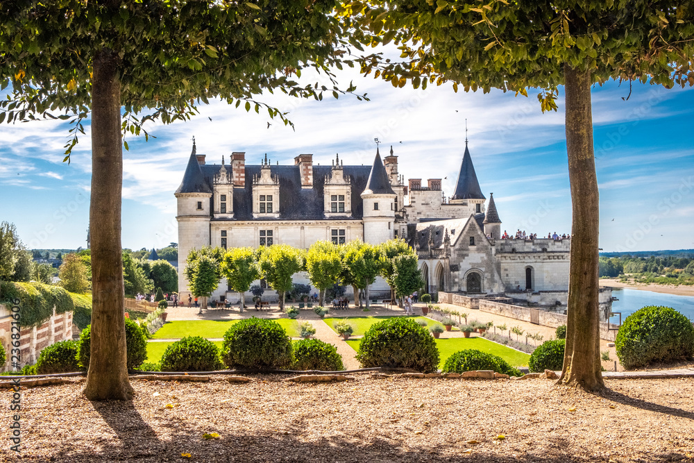 Chateau Amboise framed by trees of beautiful renaissance garden. Loire Valley, France. - obrazy, fototapety, plakaty 