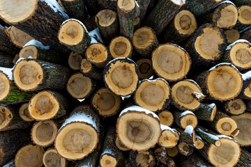 Pile of wood covered by white snow