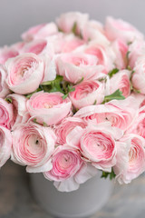 Ranunculus asiaticus or Persian Buttercup. Bunch of pastel pink blossom . Light gray background, metal vase. Wallpaper, flowers texture