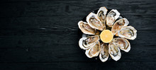 Fresh Oysters In A Plate Of Ice And Lemon. Seafood. Top View. Free Copy Space.