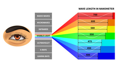 Visible light spectrum. Color waves length perceived by human eye. Rainbow electromagnetic waves. Educational school physics diagram. Scheme nanometer, rays electromagnetic spectrum illustration