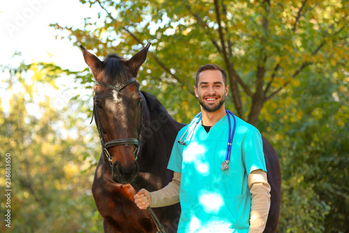Cuadros en Lienzo Veterinarian in uniform with beautiful brown horse outdoors