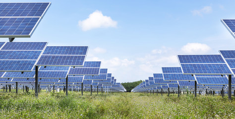 Canvas Print - rows array of polycrystalline silicon solar cells or photovoltaics cell in solar power plant systems 