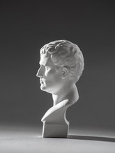 Agrippa Plaster Figure. For Drawing.