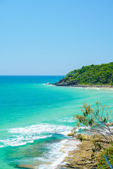 Canvas Print - Noosa National Park on a perfect day with blue water and pandanus palms on the Sunshine Coast in Queensland