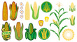 corn vector icons set (grain or seed, stalk, popcorn, corncob)