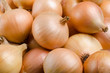 Pure organic raw onion