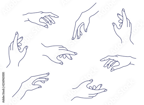Hand And Nails Outline Drawing Vector Buy This Stock Vector And Explore Similar Vectors At Adobe Stock Adobe Stock Hand And Nails Outline Drawing Vector Buy This Stock Vector And Explore Similar Vectors At Adobe Stock Adobe Stock
