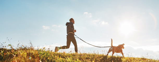 canicross exercises. man runs with his beagle dog at sunny morning. healthy lifestyle concept.
