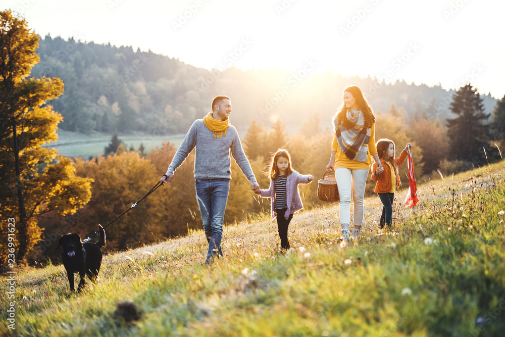 A young family with two small children and a dog on a walk on a meadow at sunset. - obrazy, fototapety, plakaty 