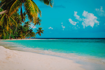 tropical sand beach with palm trees, vacation concept