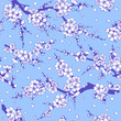 Seamless Pattern with Flowering Branches on Blue