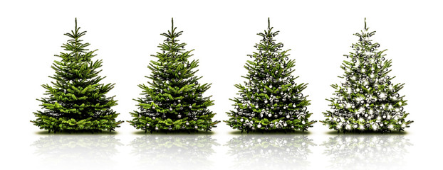 weihnachtsbäume