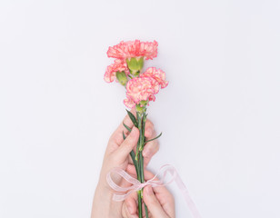 female hand hold carnation