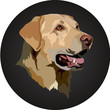 Head of a Labrador Retriever dog portrait. Vector illustration