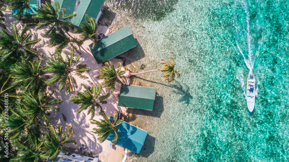 Aerial drone view of Tobacco Caye small Caribbean island with palm trees and bungalows in the Belize Barrier Reef - obrazy, fototapety, plakaty 