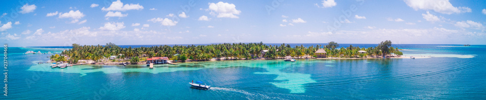 Aerial Drone view of South Water Caye tropical island in Belize barrier reef. A typical Caribbean island with turquoise water - obrazy, fototapety, plakaty 