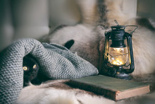 Still Life With Lamp, Book, Plaid, Cat