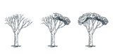 Fototapeta  - Life and dead tree concept. Vector hand drawn sketch illustration.