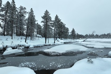 Sticker - Winter Snowy Landscape