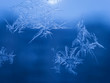 Winter Holidays Season Fantasy World Concept: Macro Image of Natural Ice Crystals Patterns on a Blue Frosted Window Pane With Sun Glow. Hoarfrost Background.