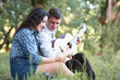 © soleg - young couple sitting in the forest and playing guitar, summer nature, bright sunlight, shadows and green leaves, romantic feelings