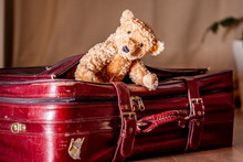 Travel Concept Of Teddy Bear And Red Vintage Suitcase