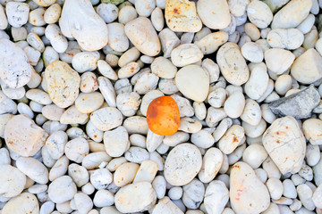 one brown rock standing out from white rock background. concept of unique, leadership, perfection,bu